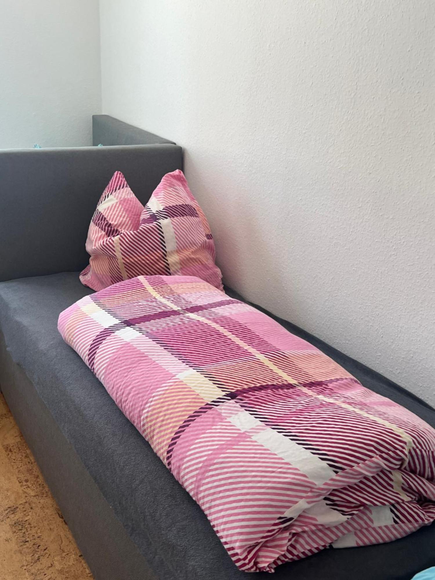 Familienstudio Am Rothaarsteig Auch Mit Hund Medebach Bagian luar foto